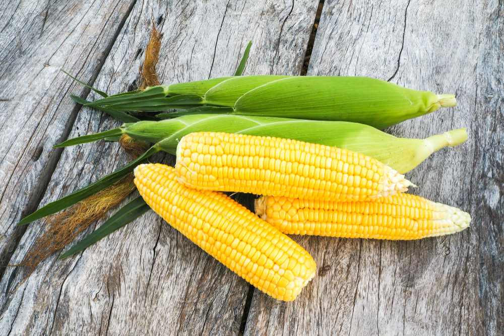 Sweet Corn